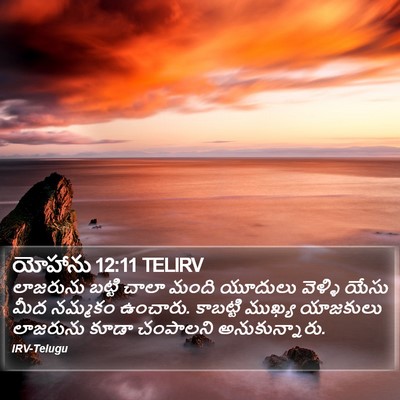 యోహాను 12:11 TELIRV Bible Verse Image