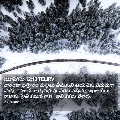 యోహాను 12:13 TELIRV Bible Verse Image