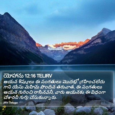 యోహాను 12:16 TELIRV Bible Verse Image