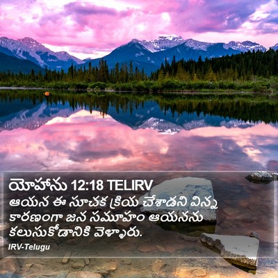 యోహాను 12:18 TELIRV Bible Verse Image