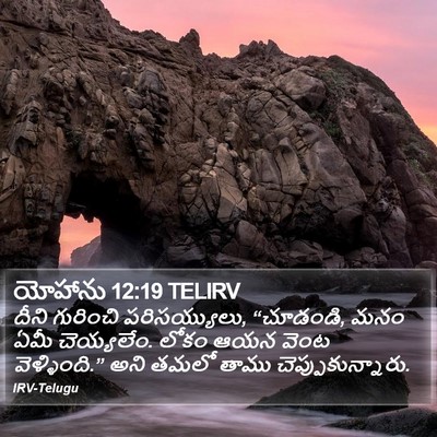 యోహాను 12:19 TELIRV Bible Verse Image