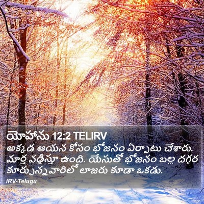 యోహాను 12:2 TELIRV Bible Verse Image