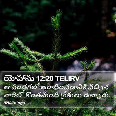 యోహాను 12:20 TELIRV Bible Verse Image