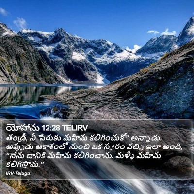 యోహాను 12:28 TELIRV Bible Verse Image