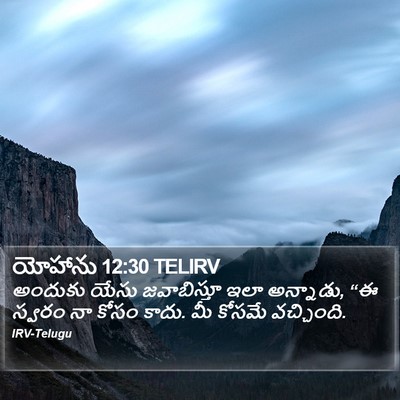 యోహాను 12:30 TELIRV Bible Verse Image