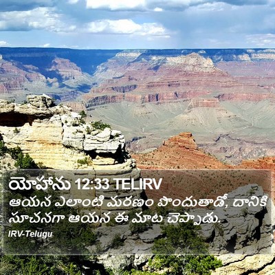 యోహాను 12:33 TELIRV Bible Verse Image