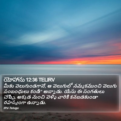 యోహాను 12:36 TELIRV Bible Verse Image