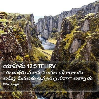 యోహాను 12:5 TELIRV Bible Verse Image