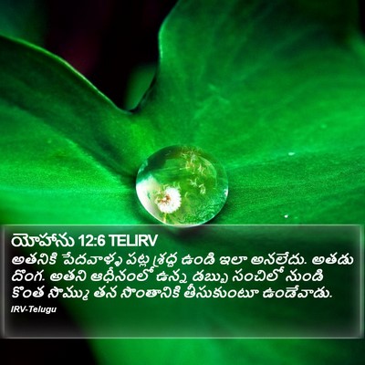యోహాను 12:6 TELIRV Bible Verse Image