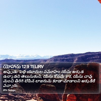 యోహాను 12:9 TELIRV Bible Verse Image