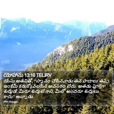 యోహాను 13:10 TELIRV Bible Verse Image