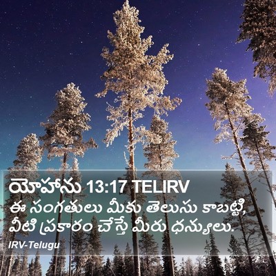 యోహాను 13:17 TELIRV Bible Verse Image