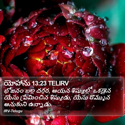 యోహాను 13:23 TELIRV Bible Verse Image