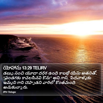 యోహాను 13:29 TELIRV Bible Verse Image