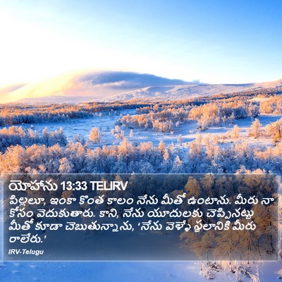 యోహాను 13:33 TELIRV Bible Verse Image