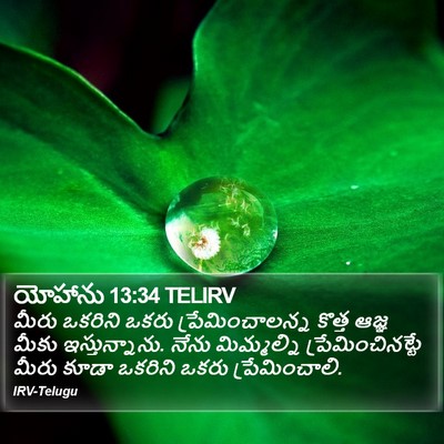యోహాను 13:34 TELIRV Bible Verse Image