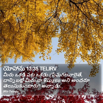 యోహాను 13:35 TELIRV Bible Verse Image