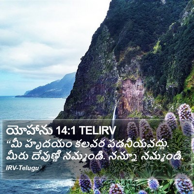 యోహాను 14:1 TELIRV Bible Verse Image
