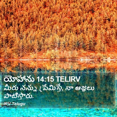 యోహాను 14:15 TELIRV Bible Verse Image