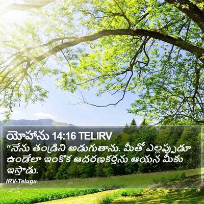 యోహాను 14:16 TELIRV Bible Verse Image