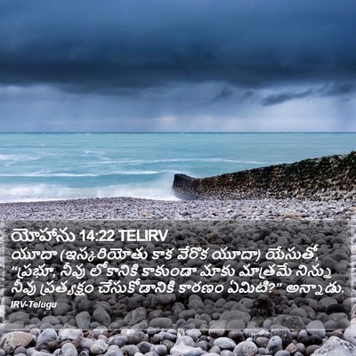 యోహాను 14:22 TELIRV Bible Verse Image