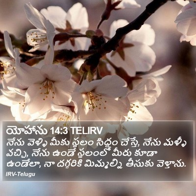 యోహాను 14:3 TELIRV Bible Verse Image