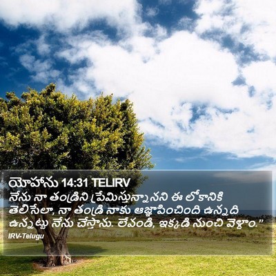యోహాను 14:31 TELIRV Bible Verse Image