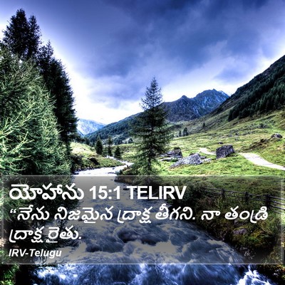 యోహాను 15:1 TELIRV Bible Verse Image