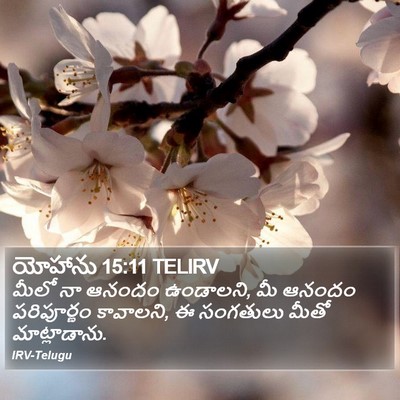 యోహాను 15:11 TELIRV Bible Verse Image