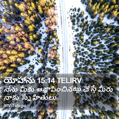 యోహాను 15:14 TELIRV Bible Verse Image