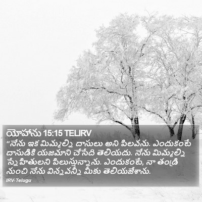 యోహాను 15:15 TELIRV Bible Verse Image
