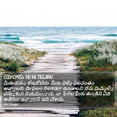 యోహాను 15:16 TELIRV Bible Verse Image