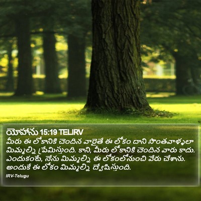 యోహాను 15:19 TELIRV Bible Verse Image