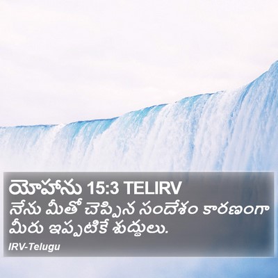 యోహాను 15:3 TELIRV Bible Verse Image