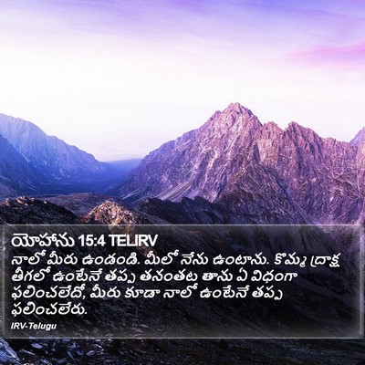 యోహాను 15:4 TELIRV Bible Verse Image