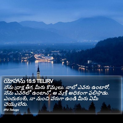 యోహాను 15:5 TELIRV Bible Verse Image