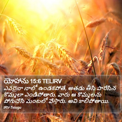 యోహాను 15:6 TELIRV Bible Verse Image