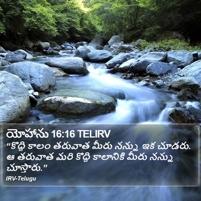 యోహాను 16:16 TELIRV Bible Verse Image