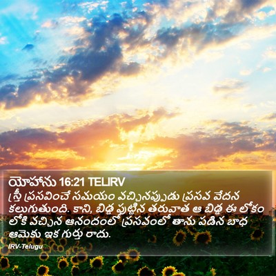 యోహాను 16:21 TELIRV Bible Verse Image