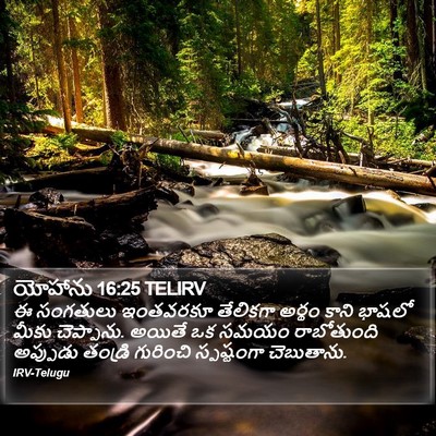 యోహాను 16:25 TELIRV Bible Verse Image