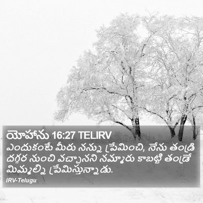 యోహాను 16:27 TELIRV Bible Verse Image