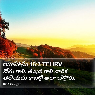 యోహాను 16:3 TELIRV Bible Verse Image
