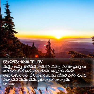 యోహాను 16:30 TELIRV Bible Verse Image
