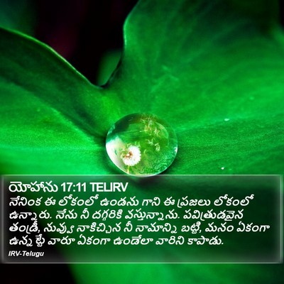 యోహాను 17:11 TELIRV Bible Verse Image