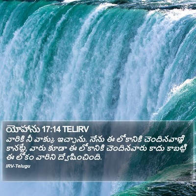 యోహాను 17:14 TELIRV Bible Verse Image
