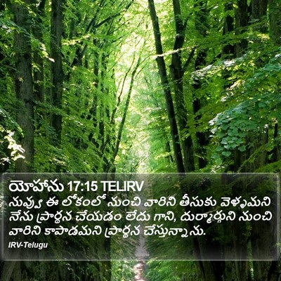 యోహాను 17:15 TELIRV Bible Verse Image