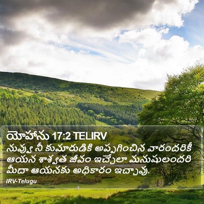 యోహాను 17:2 TELIRV Bible Verse Image