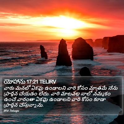 యోహాను 17:21 TELIRV Bible Verse Image