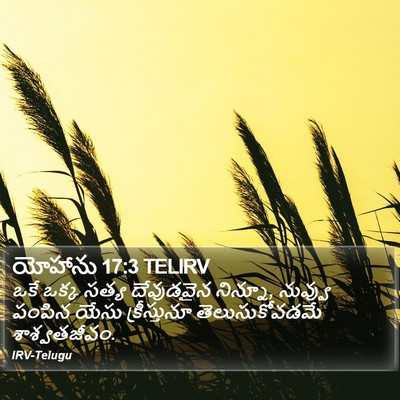యోహాను 17:3 TELIRV Bible Verse Image