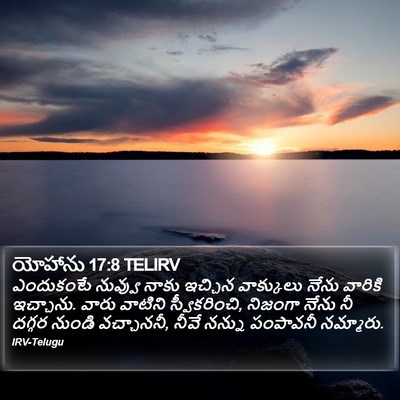 యోహాను 17:8 TELIRV Bible Verse Image